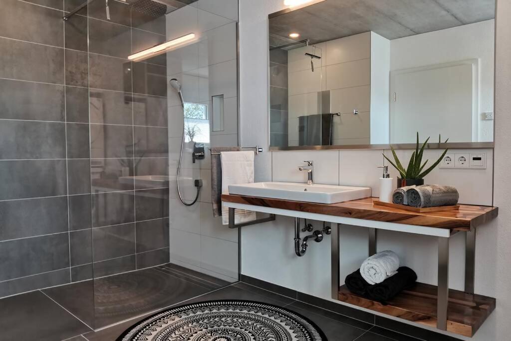 Moderne Ferienwohnung Rhenum Mit Wallbox Waldshut-Tiengen Zewnętrze zdjęcie