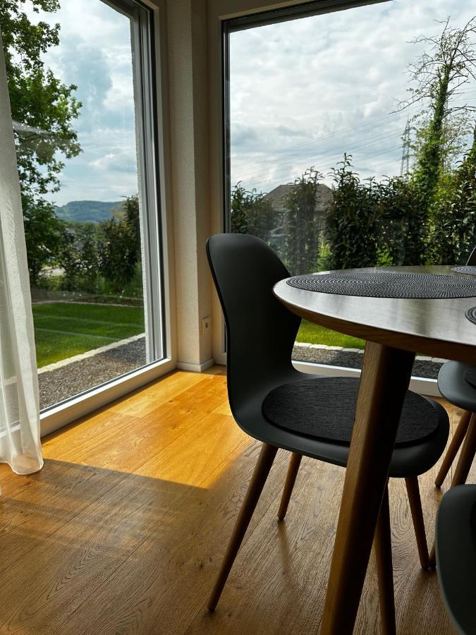 Moderne Ferienwohnung Rhenum Mit Wallbox Waldshut-Tiengen Zewnętrze zdjęcie