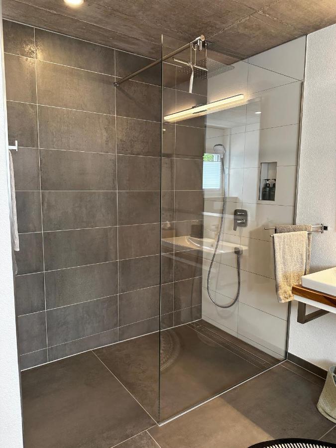 Moderne Ferienwohnung Rhenum Mit Wallbox Waldshut-Tiengen Zewnętrze zdjęcie