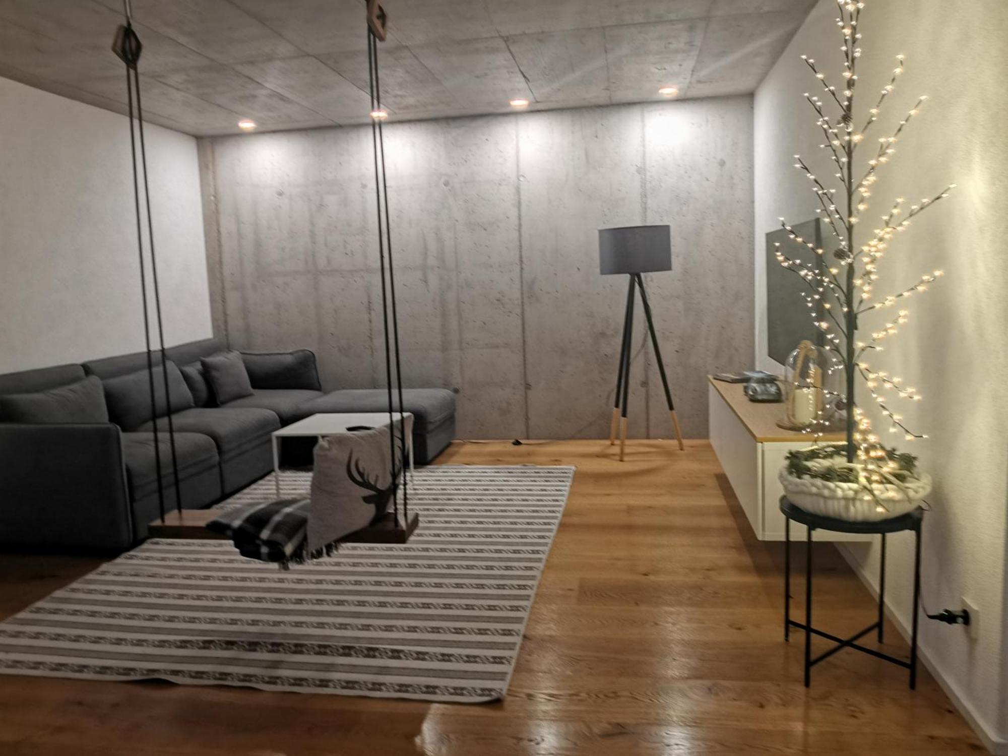 Moderne Ferienwohnung Rhenum Mit Wallbox Waldshut-Tiengen Zewnętrze zdjęcie